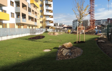 Bytový komplex / Brno - Návrh a realizace zeleně u bytového komplexu.